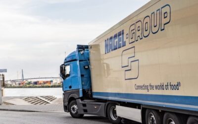 Stef completes his European puzzle with Langdon Group Ltd