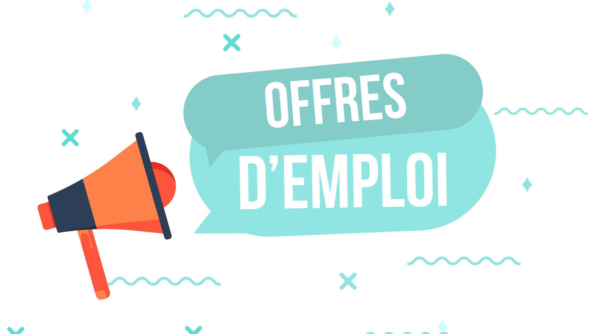Emploi : Supply Chain Manager
