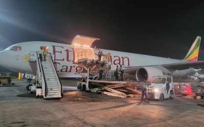 Sénégal : DHL Global Forwarding exporte 31 colis de produits pétroliers vers le Nigeria par vol charter