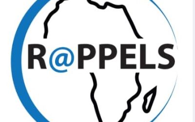 Le Réseau des Auteurs et Producteurs de la Presse en Ligne du Sénégal – RAPPELS – appelle à des mesures économiques fortes de protection de la presse au Sénégal, en ce 3 mai 2023, Journée Mondiale de la Liberté de Presse