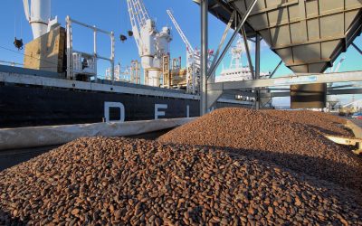 Cacao: la Côte d’Ivoire stoppe les contrats d’exportation pour 2023-2024 à cause des intempéries