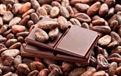 Rising cocoa prices: implications for the global value chain and farmers' incomes