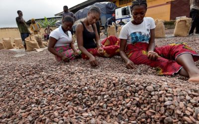 Madagascar : la logistique joue les trouble-fête dans la filière cacao