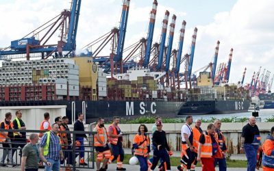 MSC : 383 navires d’occasion acquis en quatre ans